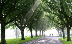 151004 Floriske.jpg